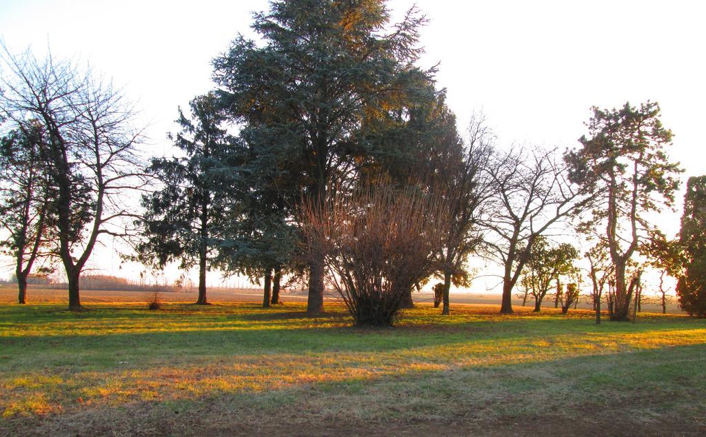 La Centuria Societa Agricola Casa Vacanze Terzo d' Aquileia Exteriör bild