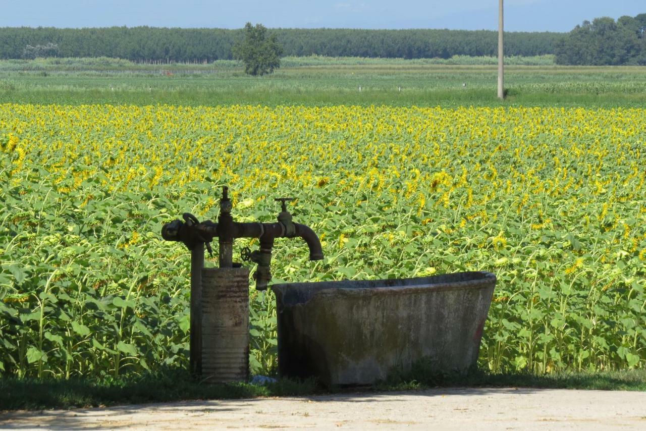 La Centuria Societa Agricola Casa Vacanze Terzo d' Aquileia Exteriör bild